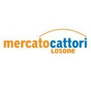 Mercato Cattori