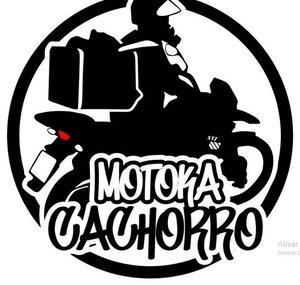 MOTOKA CACHORRO