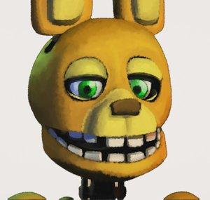 Ryz