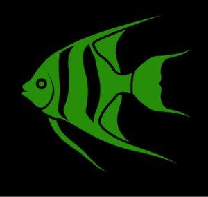 Schmidt Aquatics