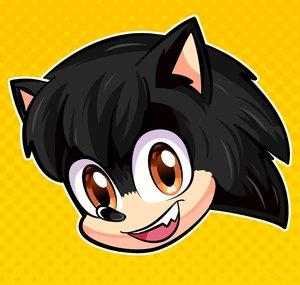 Sergindsegasonic