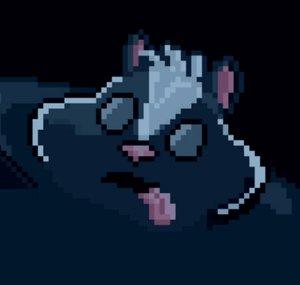 Sleepy Skunk