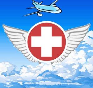 The Flight Surgeon