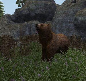 Ursus