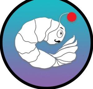 WhimsyShrimp