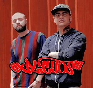 Xplicitos