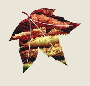 AutumnFeels