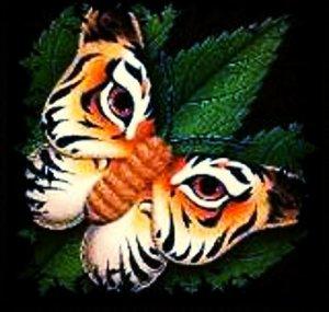 ButterflySpirit