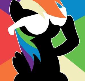 DashsSunglasses