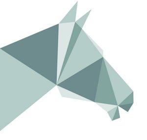 Equine Stories