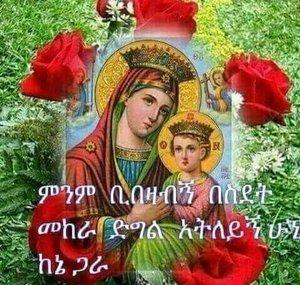 Hala Q ወሎየዋ