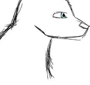 Lobo73 Animations
