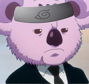 Luxurious Koala