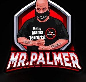 Mr. Palmer