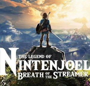 Nintenjoel