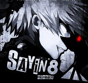 Sayin8_