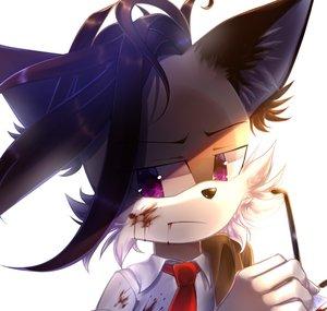 Time Fox Animation