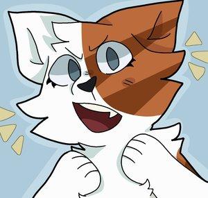 Animating_Cat