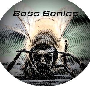 Boss Sonics 