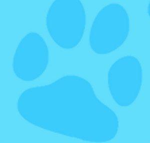 Cute Funny Paws
