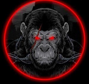 Dark Monkey Music