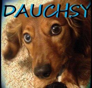 Dauchsy