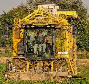 ddubaj29 Czarnystok Agriculture
