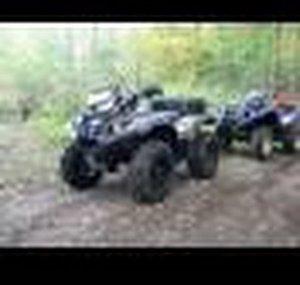 grizzbutch450