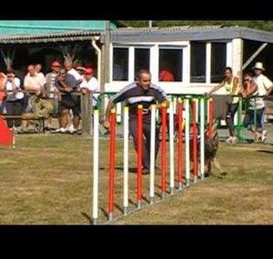 GSDAgility