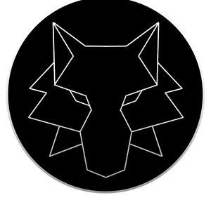 LoneWolfParadox