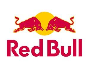 Red Bull Deutschland Shorts