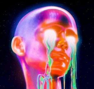 VerumVox