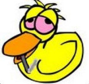 a random duck jamie