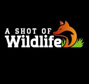 A Shot Of Wildlife