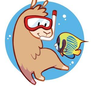 Bahama Llama Coral