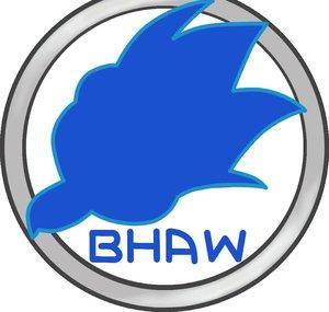 BlueHawk Audio Works