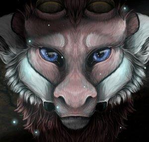 CosmicTundra