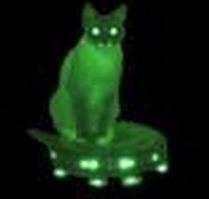 MAXtheRoombaCAT