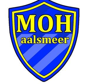MOH aalsmeer (LSPDFR and More)