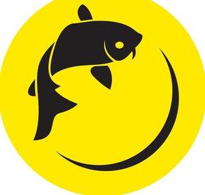 More Fish With Carl