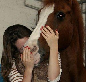 o0Cavallo0o