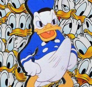 OlDuck!
