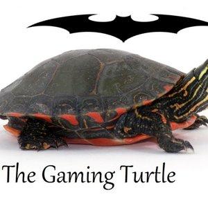 The Gaming Turtle