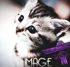 xIMAGERY