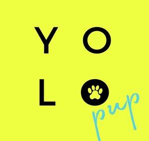 YOLO PUP