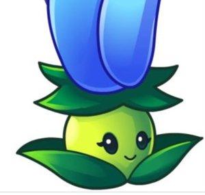 Yuna The Moonflower