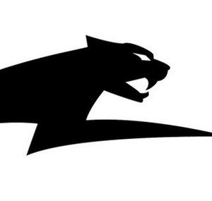 Arctic Cat