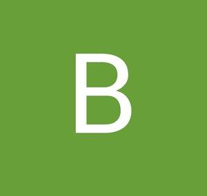 Bezlonir