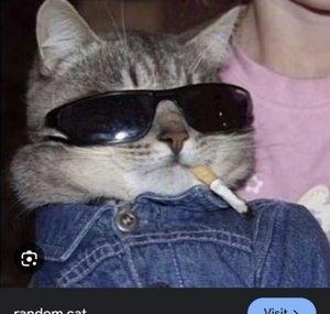 BlazedNKonfuzed