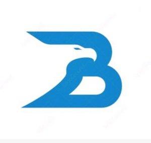 Bozza